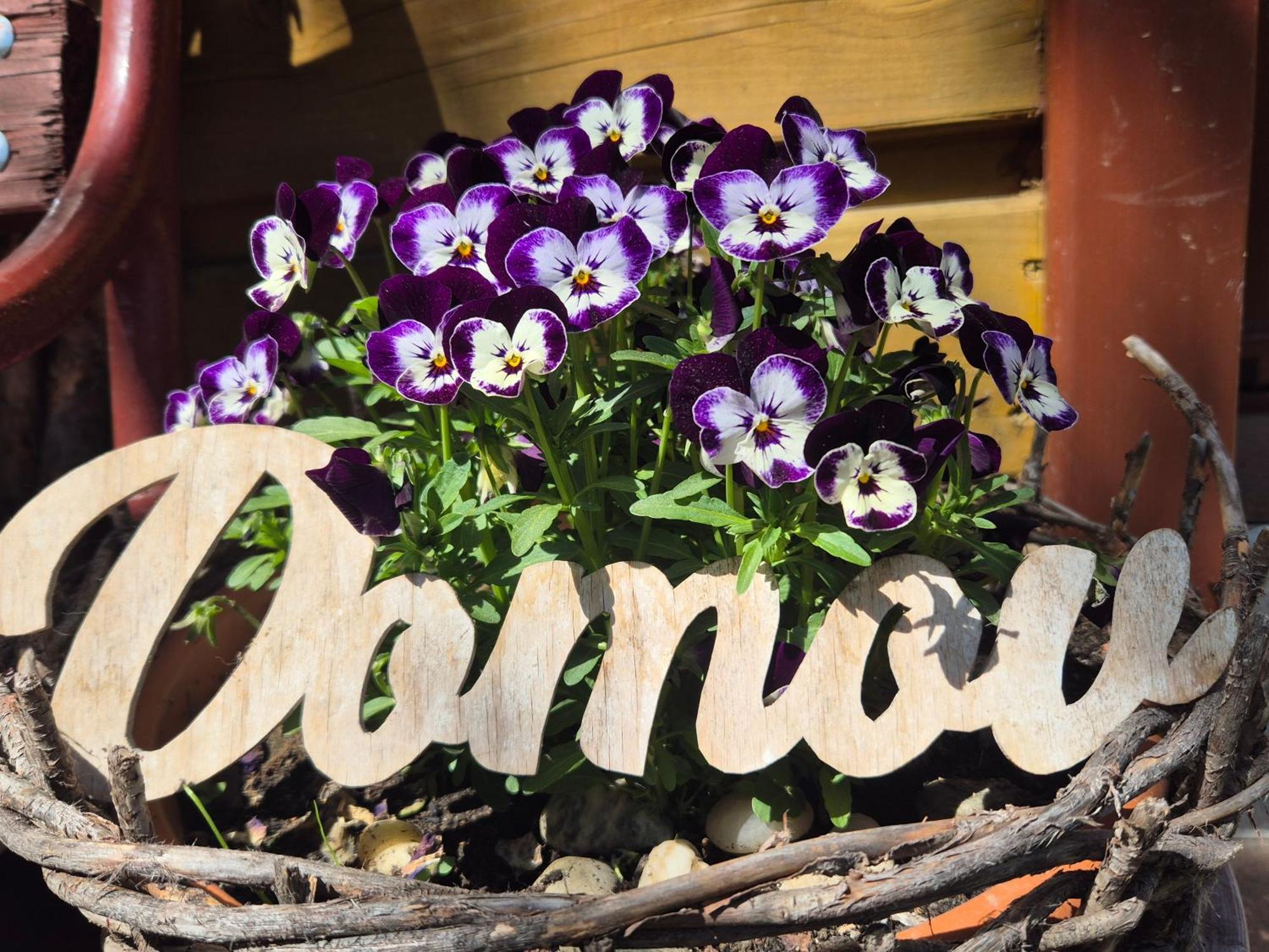 Apartmany Anicka Vo Vazci Važec Zimmer foto